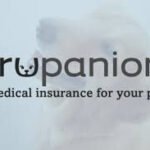 001ea5_51e951a0b185451dafdfa17b99115d15~mv2