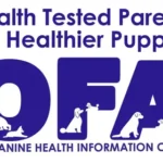 001ea5_69da1c7d9eea46338645c88ecc671c9c~mv2