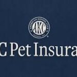 001ea5_b9769fe320484b61a58a6ccf02ab4bd1~mv2